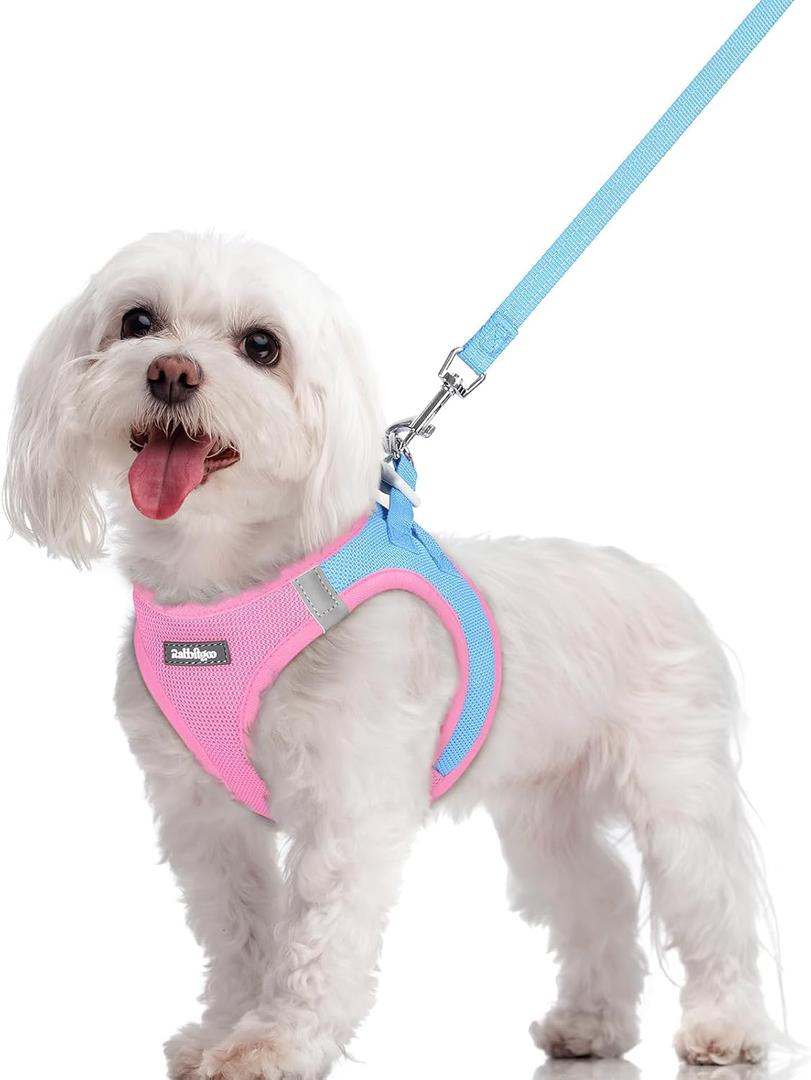 rabbitgoo Dog Harness Small Sized and Leash Set, Step in Soft Light Puppy Vest, Breathable Mesh Pet Harness, Reflective for Safe Easy Walking, Blue & Light Pink M (M (Chest: 16 - 18.5"))