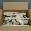 LUKBERA 2 Pack 3 ft Halloween Skeleton Posable, 36" Full Body Human Skeleton with Movable Joints for Halloween Haunted House Graveyard Party Scary Indoor Outdoor Decor