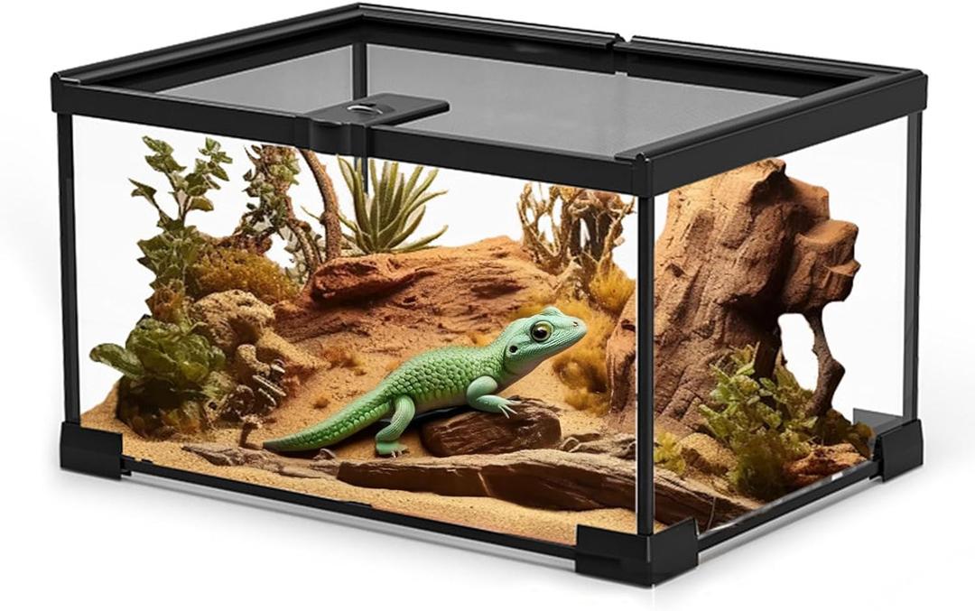 Small Reptile Glass Terrarium Tank: 2.5 Gallon Enclosure Cage with Lockable Top Opening Aquarium Habitat for Crested Gecko, Lizard, Snake, Chameleons, Turtle, Tarantula, Tree Frog (12"x8"x6")