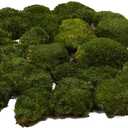 Preserved Pole Moss Pillow Bun Cushion Natural Green Decorative Real Natural DIY Kit Terrariums Garden Art Wall Florist Easter Wedding Decor (1.5 sq.ft., Green-A)