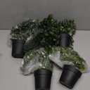 Artificial Hanging Plants for Shelf, Pack of 4 Fake Potted Greenery Faux Eucalyptus Vine, Mandala Vine, String of Pearls, Pea pod Leaves in Pot for Office Living Room Bathroom Indoor Outdoor Decor
