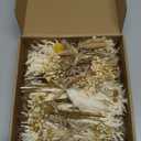 10/12/24/36 Pack Mini Dried Flowers for Vase Wedding Various Mini Bouquet Dried Small Wildflowers Natural Flowers Bulk for Crafts DIY Decor (36, Plain Colour)