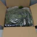 9FT Real Touch Norfolk Pine Garland Christmas with Light Winter Artificial Faux Greenery Garland Table Mantle Stairs Fireplace Wall Decor Outdoor Indoor Porch Home Decorations (Battery Not Included)