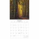 Gladstone Media, Witches Woods 2026 Square Wall Calendar