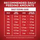 Purina ONE Natural Wet Dog Food Gravy, Tender Cuts in Gravy Beef and Barley Entre - 13 Ounce (Pack of 12)