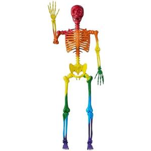 Amazon.com: JOYIN 5.6 FT Halloween Posable Life Size Skeleton, Full Body Realistic Bones with Movable Joints, Rainbow Color Giant Skeletons for Halloween Decoration Outdoor, Haunted House Prop, Spooky Scene Party : Patio, Lawn & Garden