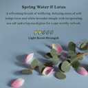 Enviroscent Non-Toxic Air Freshener for Home (Spring Water & Lotus) Essential Oil Diffuser | Home Fragrance Last Over 30 Days | 8 Scent Stix Refills (8 Count (Pack of 2))