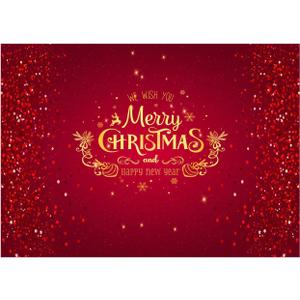 WOLADA Merry Christmas and Happy New Year Photography Backdrop Red Glittery Background Ideal for Christmas Parties Holiday Photo Shoots Family Gatherings Studio Props Festive Decor 7x5FT 11725