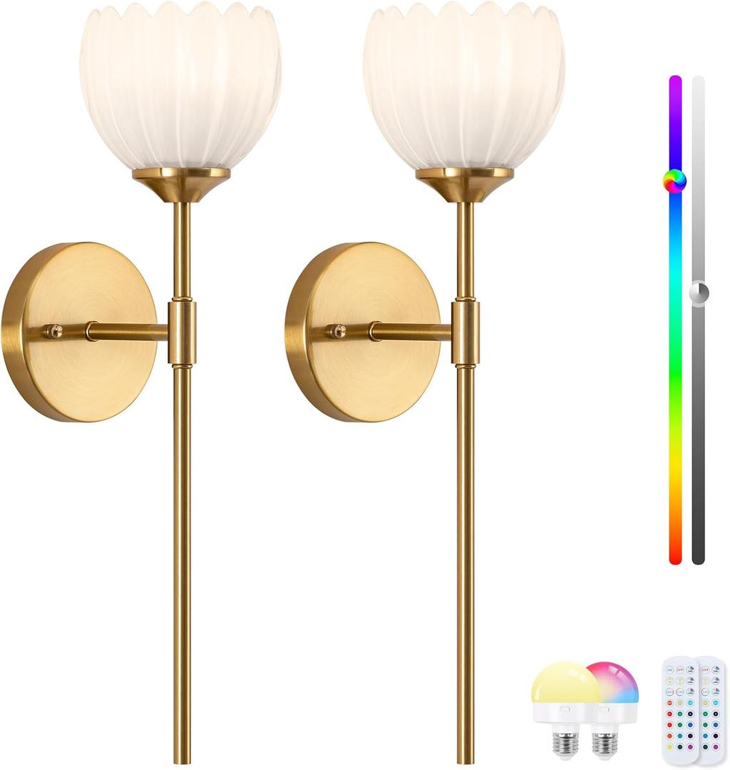 Vintage Battery Operated Wall Sconce Set of 2, Wall Lights with RGB Dimmable Bulbs and Remote,Rechargeable LED Wireless Wall Lamps for Living Room Hallway Bedroom
