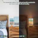 Bolaz Small Table Lamp for Bedroom Seashells on Tropical Beach Table Lamp Nightstand Lamp for Livingroom Office Reading Working Table Desk