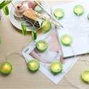 2 x Fruit Lemon String Lights Lime Slice String Light 20 LEDs Battery Powered Fairy String for Wedding Home Birthday, Batteries not Included