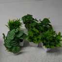 Amazon.com: Der Rose 6 Pack Fake Plants Small Artificial Potted Plants Faux Plants for Home Office Desk Bathroom Aesthetic Farmhouse Room Decor Indoor : Home & Kitchen