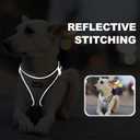 haapaw Dog Harness with Leash Set, No Pull Adjustable Reflective Step-in Puppy Harness with Thickened Padded Vest for Medium Dogs