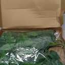 20Pcs Italian Ruscus Greenery, 23" Artificial Silk Stems Garland w/Green Leaf Vines Bendable Faux Hanging Plants Spray for DIY Wedding Arch Bouquet Table Centerpieces Vase Filler and Home Indoor Decor