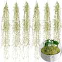SEEKO Succulents Fake Spanish Moss 6 Pack, 33" Premium Artificial & Faux Moss Decor