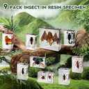 9 Pcs Insects Taxidermy Bat Set,Bat Specimen Bugs in Resin Taxidermy Animal Bulk Collection for Scientific Eduation,Entomology Supplies Display,Oddity Bug Gifts Decor Paperweights(Real Bat in Resin)