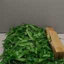 Bird Fiy 50 PCS 376 Feet Artificial Flower Greenery Wicker Rattan Vine Fake Foliage Leaf Flowers Plants Garland Garden Decoration