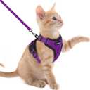 rabbitgoo Cat Harness and Leash for Walking, Escape Proof Soft Adjustable Vest Harnesses for Cats, Easy Control Breathable Reflective Strips Jacket, Purple, XXS