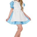 fun shack Alice Costumes Kids, World Book Day Costumes Alice Dress, Alice Costume Girls, World Book Day Costumes Girl, M
