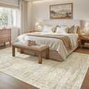 Soalmost 5x8 Area Rugs Beige Low Pile Indoor Washable Trendy Faded Style Rugs for Bedroom Living Room Dining Room Foldable Non-Slip Thin Print Home Office Mat