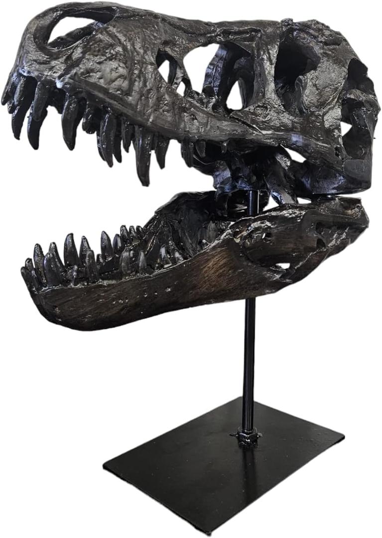Dinosaur Skull Statue,Dinosaur Sculptures Bracket Tyrannosaurus Skull Replica Decoration Skull Bones Resin Replica with Bracket for Home Office Decor Shelf Display, Black