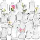 Glass Bud Vases Set of 24 - Assorted Styles, Perfect for Centerpieces, Weddings, and Home Decor - Durable Vintage Mini Vases for Floral Arrangements (Clear)