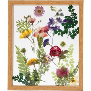 Twodays Birth Flower Mother's Day Craft Kit for Mom/Grandma - 33 Real Pressed Flowers Art DIY Set, With 8x10 Double Glass Frame & Tools, Unique Handmade Birthday Christmas Gift from Daughter (Natural)