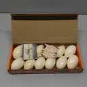 Dino Eggs Dig Kit 12Pcs Dinosaur Excavation Bricks Toys Archaeology Science STEM Experiments Toy Egg Hunt Party Gift for Kids 6-12 Years Old and Up Boys Girls