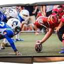 Outdoor 22-24-26" TV Set Cover,Scratch Resistant Liner Protect LED Screen Best-Compatible with Standard Mounts and Stands (Beige)