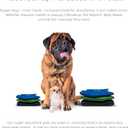 Pet Parents Washable Belly Bands for Male Dogs (3pack) + Extendrs of Durable Dog Diapers Male, Premium Male Dog Diapers & Dog Wraps (Medium, Gentlemen)