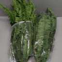 35" Ferns Artificial Bush Plants Large, 2 Artificial Boston Ferns with 39 Fronds for Outdoors Home Decor