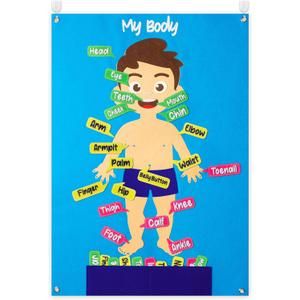 WATINC 35Pcs Body Parts Learning Felt Story Board Set Preschool Human Organ Educational Teaching Storytelling Early Learning Interactive Play Kit Wall Hanging Gift for Toddlers Kids 41 x 30 Inch (Fair Skin)