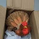 2PCS Thanksgiving Decorations Turkey, Thanksgiving Decorations for Table, Natural Material Turkey for Home Indoor Decor