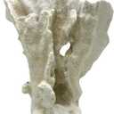 Blue Ribbon EE-1765 Exotic Environments Lettuce Coral Aquarium Ornament, White