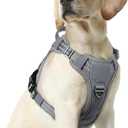 rabbitgoo Dog Harness Medium Sized No Pull, Tactical Service Pet Vest with Molle and Control Handle, Adjustable and Reflective Military Harness for Easy Walking and Training, Grey, M
