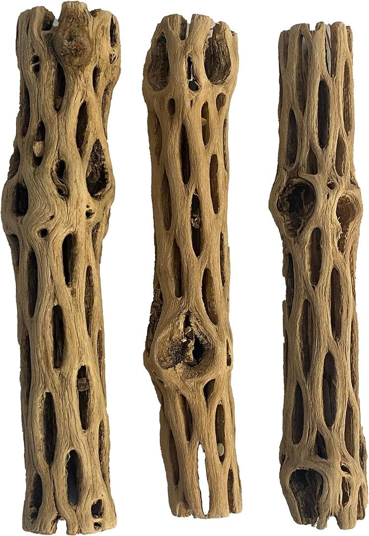 Awesome Aquatic Natural Cholla/Choya Wood 3 Pieces 6 for Shrimp Habitat and Food Treat Hermit Crabs Plecos Aquarium Decoration Lowers pH Hideouts and Chew Toys Reptiles Thorn Free Dried Organic