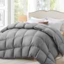 Globon Down Comforter Queen Size,All Season Duvet Insert Ultra-Soft Noiseless Shell,Mediumweight with 8 Corner Tabs, Grey