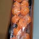 Solar Halloween Pathway Lights 3 Pack Pumpkin Stake Lights Outdoor 2 Modes Cool White LEDs for Garden Yard Patio