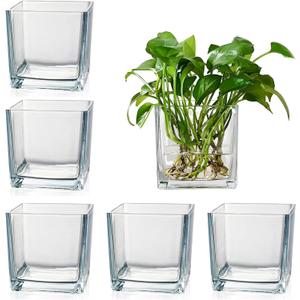 Set of 6 Square Glass Vases for Centerpieces 4" x 4" x 4" Clear Short Vases, Flower Vase, Plant Terrariums, or Candle Holders for Wedding Centerpieces, Office Decor, Home Dcor, Parties