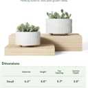 LE TAUCI Succulent Pots, 6.5+8 Inch Ceramic Indoor Plant Pot with Drainage Hole, Shallow Round Succulent Planters, Set of 2, Matte White