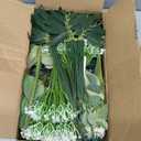 200 Pcs 8 Kinds Mixed Artificial Eucalyptus Stems Bulk Fake Silver Dollar Eucalyptus White Seeds Stems Bundle Faux Plants Greenery for DIY Bouquets Floral Arrangement Wedding Engagement Party Decor