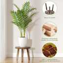 5-Pack Wood Plant Stands Indoor, Single Plant Stand for 6-12 Inch Pots, Mid-Century Modern Plant Stool, Tall Plant Stand for Large Plants for Living Room, Balcony, Office (Dark Brown)