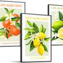 SERIMINO Fruit Botanical Wall Art for Kitchen, Lemon Prints Framed Canvas Wall Decor for Floral Dining Room Farmhouse, Watercolor Paintings Room Decor Aesthetic 3 Piece Set, 20"X28"
