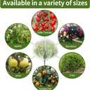 1 Pack Extra-Large Fruit Tree Netting Covers for Birds and Squirrels(15X15ft) –Bird Nets for Fruit Trees with Zipper and Drawstring, Extra Large Durable Mesh Garden Netting to Protect Fruit Trees