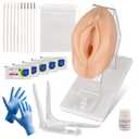 Pelvic Health Model, Vaginal Training Model for Science Education, Gynecological Examination Vulva Anatomical Model for Demonstration