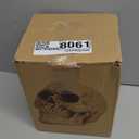 READAEER Resin Skull, Human Head Model for Home Decoration, Halloween Statue, Skull Model for Bookshelf and Desktop (White)