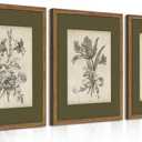 Vintage Floral Wall Art Set of 3, Sketch Sage Green Botanical Canvas Wall Decor Paintings, Retro Minimalist Flower Artwork Posters Prints Pictures for Living Room Bedroom Bathroom 16x24 Inch Framed