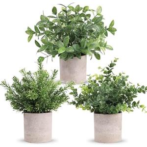 Der Rose 3 Pack Mini Potted Fake Plants Artificial Plastic Eucalyptus Plants Centerpieces for Table Home Office Desk Accessories Farmhouse Room Classroom Decor