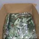 Yunlly 135ft Artificial Faux Greenery Garland Willow Leaves Vines Hanging Willow Vines Leaf Garland for Indoor/Outdoor Wedding Party Decor Wedding Table Centerpieces (Green,24 Pack)