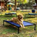 Veehoo Chew Proof Elevated Dog Bed, Indestructible Raised Dog Bed for Aggressive Chewers, Waterproof Dogs Training Platform for Indoor or Outdoor Use, 41 x27 inches, Blue (PVC Fabric))